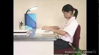 Product Tour: Spine Relaxer the series of Adjustable Lumbar Cushion