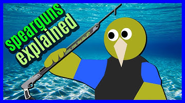Which one to buy? | Spearguns EXPLAINED