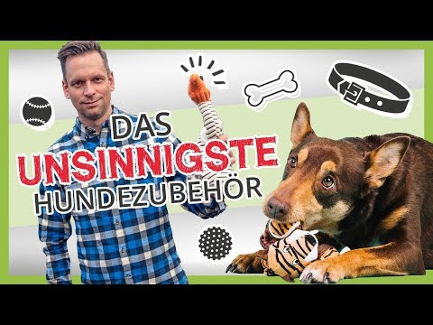 Video: Warum Tampons Kein Gutes Hundespielzeug Sind