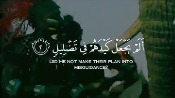 حالات واتس قرآن | ألم ترى كيف فعل ربك بأصحاب الفيل للشيخ مشاري العفاسي | سورة الفيل