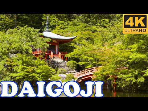 Video: Bedste Templer Og Helligdomme I Kyoto, Japan