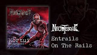 Necrotesque - Entrails on the Rails