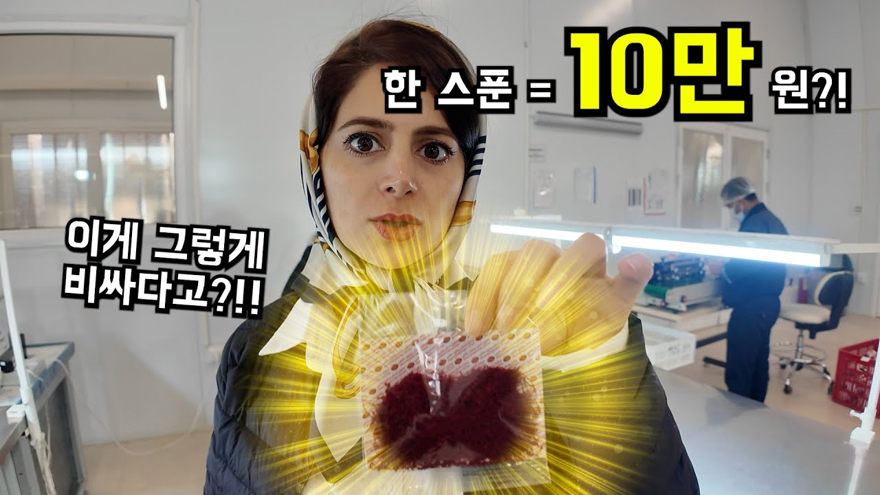 한 스푼에 십만 원?! 현지인도 보기 힘들다는 이란 샤프란 공장 최초 공개!