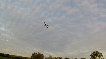e-Flite UMX J-3 Piper Cub summer morning sessions