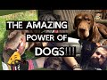The Amazing Power of Dogs! | Unboxing Puzzles | The Deductionist Podcast