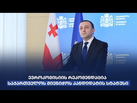 ირაკლი ღარიბაშვილის ბრიფინგი