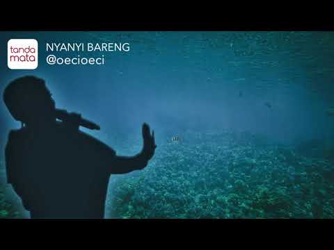 Karaoke Bintang - Bintang - Titi DJ