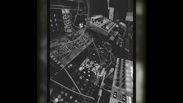 Steppas Dub Session | Roland J-6 | Model Samples | Microfreak | Korg NTS-1