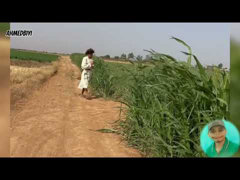 مقالب مابغاش عطيني دلاح ميمكنش مضحكش