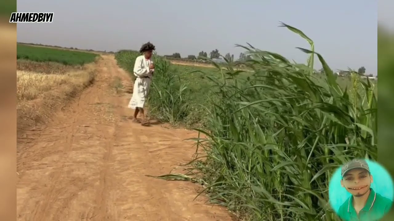 مقالب مابغاش عطيني دلاح 🍉 ميمكنش مضحكش🤣