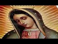 Novena a la Virgen de Guadalupe Dia 3. Nuestra Señora de Guadalupe