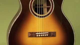 Guitar Gallery presents Stephen Kinnaird FS-12