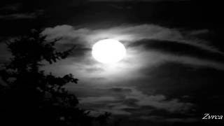 Hindi Zahra ~ The Moon Is Full