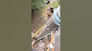 Negative Rigging A Oak Top  #treelife #notchemandwatchem #arborist #allday #rigging