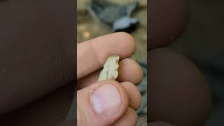 Finding Arrowhead In Colonial Pit | Sifting History | Please Subscribe