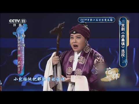 [青春戏苑]京剧《赤桑镇》选段 表演：张元奇|CCTV戏曲