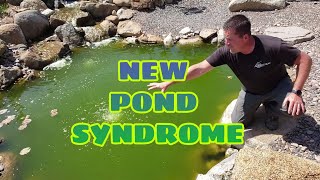 NEW POND SYNDROME  Algae Bloom Solutions | Say NO! to green pond water!!