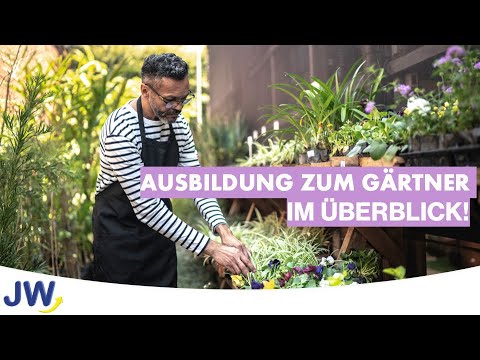 Video: Braucht man einen Abschluss, um Gärtner zu werden?