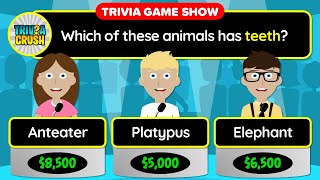 😃👉 GENERAL KNOWLEDGE QUIZ! - 50 Trivia Questions in a Unique Game Show Format | 24-050 screenshot 5
