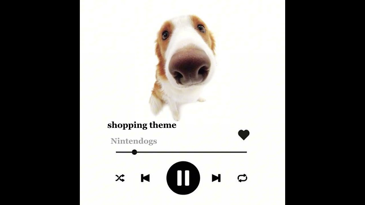 Pov: you’re a silly dog (a playlist)