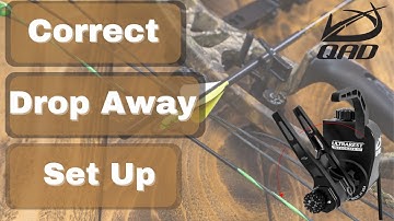 Set up your QAD drop away rest for vane clearance and good arrow flight