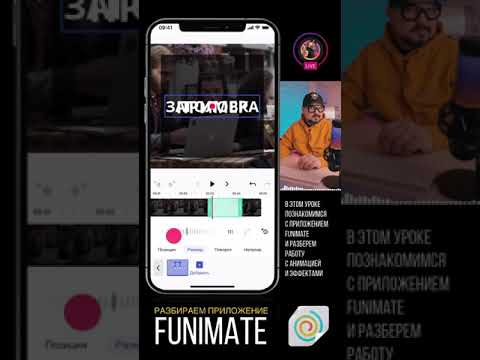 Анимация текста в приложение Funimate - вертикальное видео