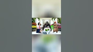 Capybara cùng chị giúp bà tắm cho con watermellondrillo zombie và cái kết #capybara