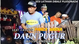 Daun Pugur (versi calung ) - Agus Gandara