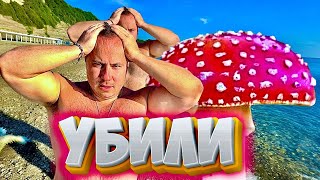 Мухоморы🍄 сломали мою жизнь!