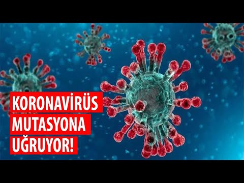 Flaş açıklama: Koronavirüsün öldürücülüğü azaldı, mutasyona uğruyor!