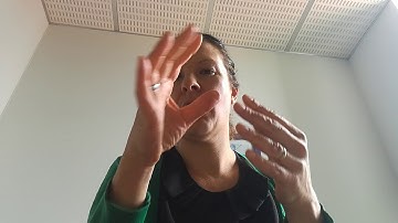 NZSL interpreter options Wellington hospitals