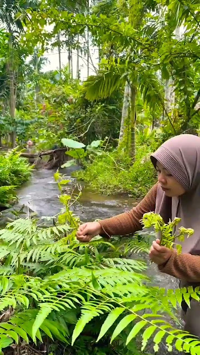 seer lalabna tth enak di soelsambel#fypシ゚viral #banjaranbandungselatan
