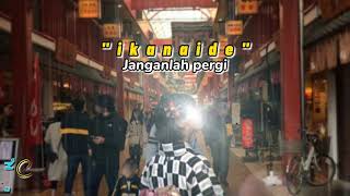 Download Lagu Lagu Jepang IKANAIDE 🔥❤️PALING COCOK BUAT SANTAI MP3