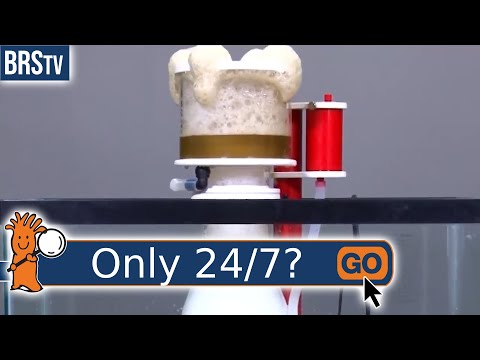 Do I Need to Run a Protein Skimmer All the Time?
