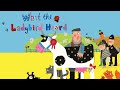What the Ladybird Heard | Animated read along story for children
