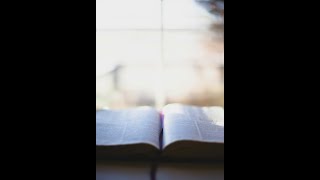 Praise God And The Bible