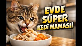 Kediler İçin Evde Mama Tarifi Veteriner Onaylı Süper Besin Viral Kedi Maması Tarifi Evde