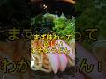 まず味わって欲しい!わかめうどん! #shorts