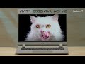 Avita Essential  Celeron N4020 Model NE14A2