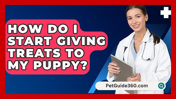 How Do I Start Giving Treats To My Puppy? - PetGuide360.com