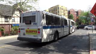 Mta Bus Company New Flyer D60Hf Artic Q10 & Q10 Ltd Lefferts Boulevard & Metropolitan Avenue