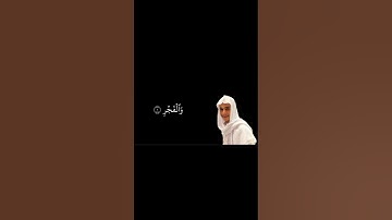 سورة الفجر #القارئ #عبدالرحمن_مسعد #محمد_اللحيدان #ياسر_الدوسري #quran #قرآن #قران_كريم #fyp #اجر