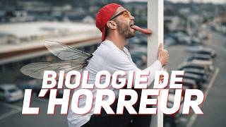 FINIR COMME une mouche zombie, c’est HORRIBLE ?