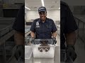 You will not believe what came through security today