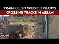 Assam News | Seven Wild Asiatic Elephants Killed After Rajdhani Express Hits Herd In Assam