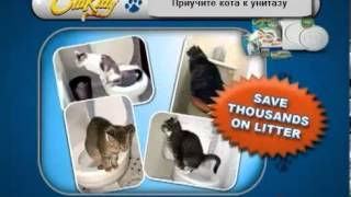 Приучи своего кота ходить в туалет по человечески! Приучи своего кота ходить в туалет по человечески!
