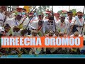 Irreecha Oromo Music 2023 Best Oromo Music Sirba Afaan Oromoo Irreecha Oromo Culture Irreecha Oromo Music 2023 Best Oromo Music Sirba Afaan Oromoo Irreecha Oromo Culture