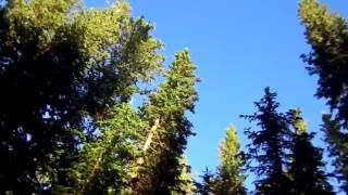 Tim and Cody at Sylvan Lake - 2016 by tlimberg06 81 views 7 years ago 35 seconds