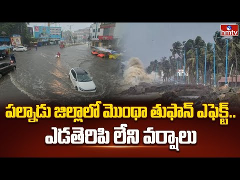 పల్నాడు జిల్లాలో మొంథా తుఫాన్ ఎఫెక్ట్..ఎడతెరిపి లేని వర్షాలు | Cyclone Montha | Palnadu | hmtv