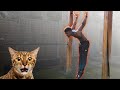 Skin The Cat Tutorial | With Progressions